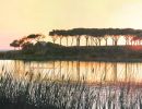 trafal beach portugal