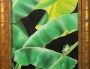 treefrogweb
